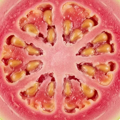 Imagen PNG para descargar